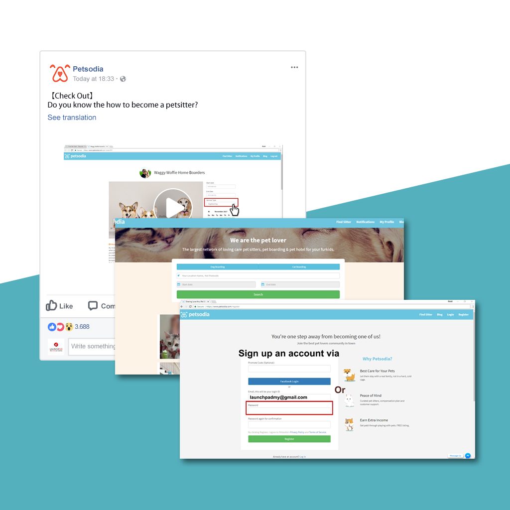 Digital Marketing efforts for Petsodia